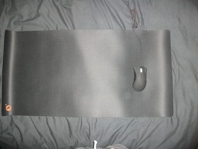IMGP0912.jpg