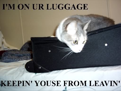 luggage.jpg