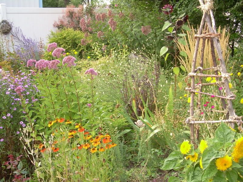 Sep 18 fall plants photo fallplants.jpg