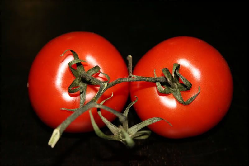 sexy red tomatoes
