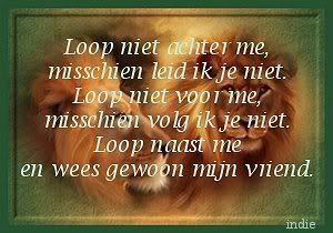 198a38c5.jpg Wees een vriend image by miss-lorie