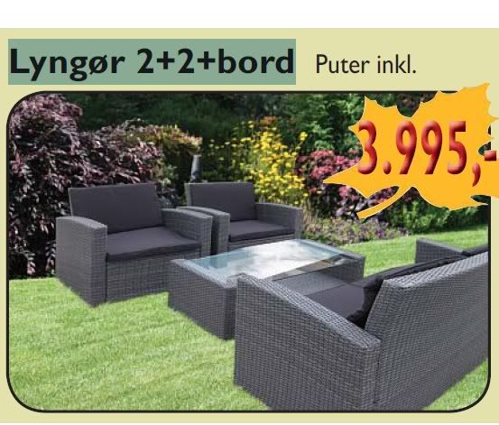 Rottingmbler-Lyngr-Bogrnt-3000kr.jpg
