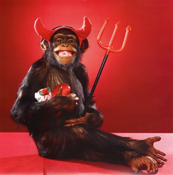 Valentine Pictures, Images and Photos