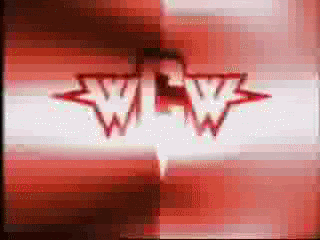 WCW2.gif