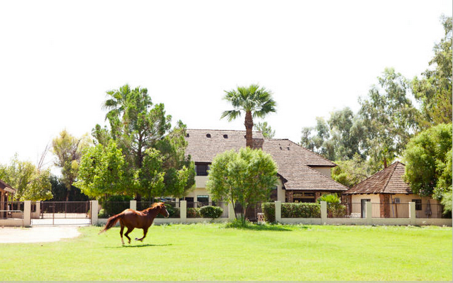 Romantic English Tudor Mansion & Horse Property - 2605 N VAL VISTA DR Mesa, AZ 85213