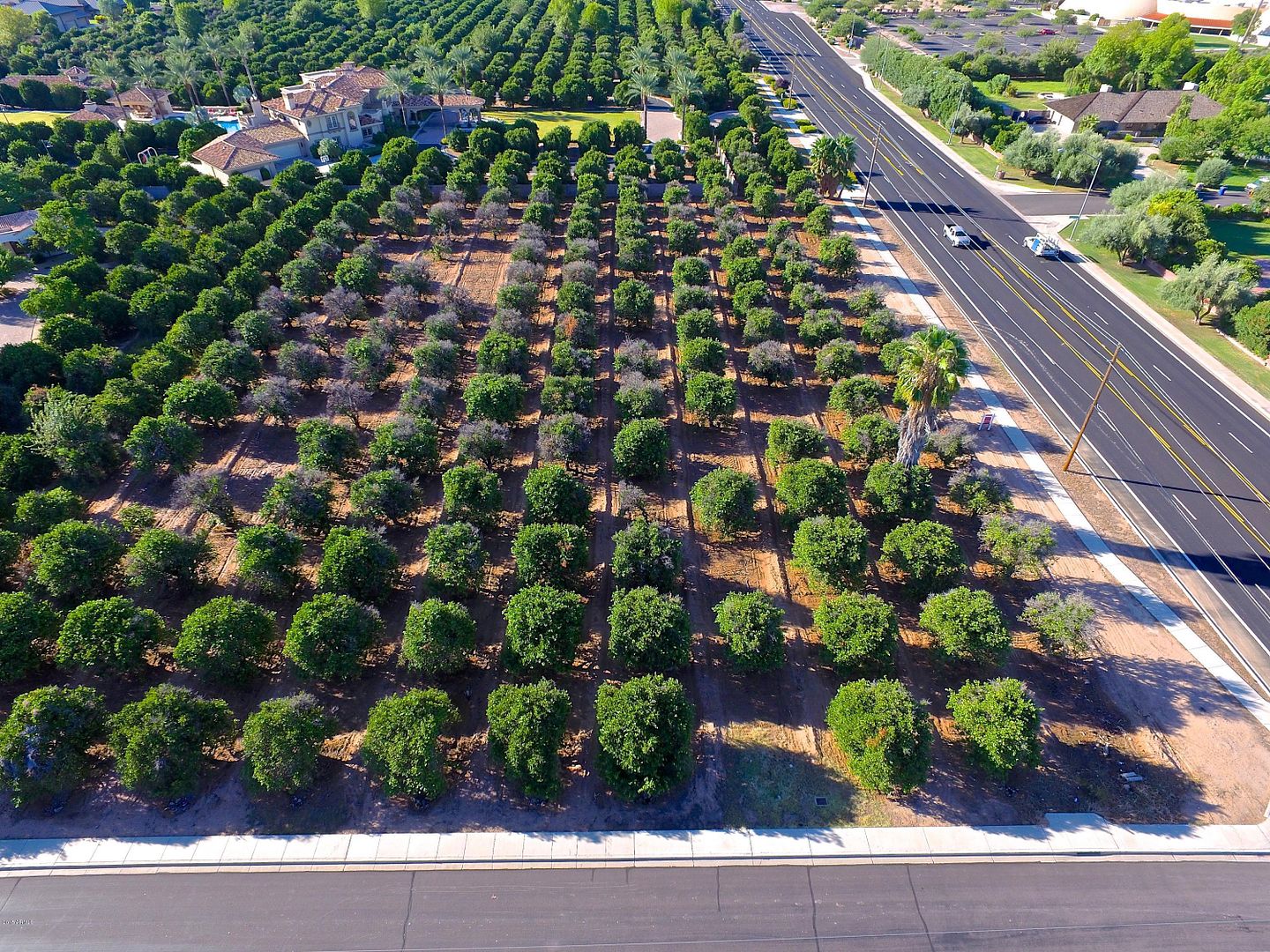 All This 2+ Acre Citrus Groves Lot Needs Is Your Dream