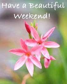Have a Beautiful Weekend