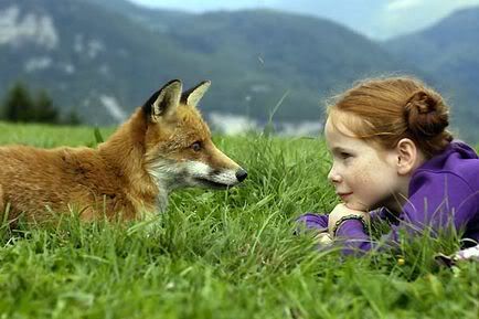 The Fox and the child Pictures, Images and Photos