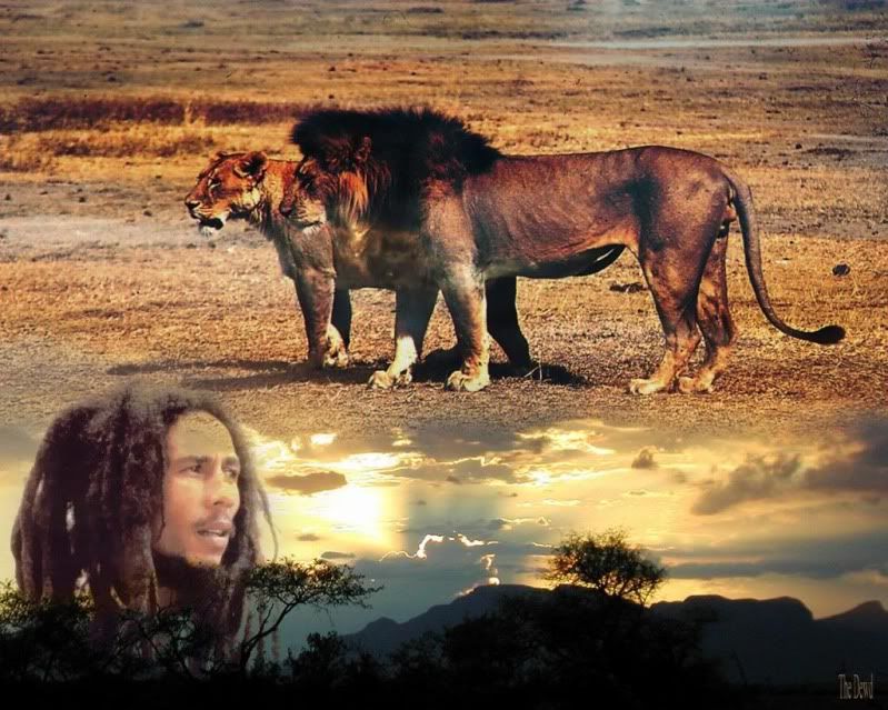 bob marley wallpaper lion. lion wallpapers. About me: