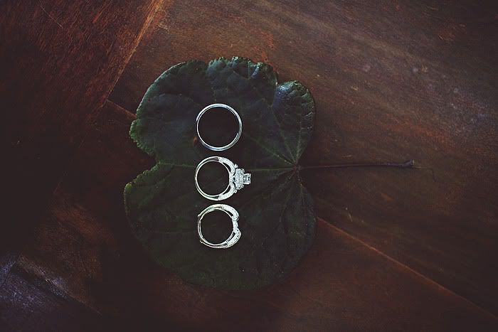 IMAGE: http://i125.photobucket.com/albums/p50/LocalElk07/5-17.jpg