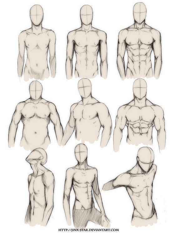 bodytypestudy.jpg