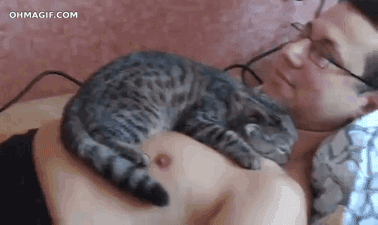 adorable-kitten-sleeping-and-cuddling-on