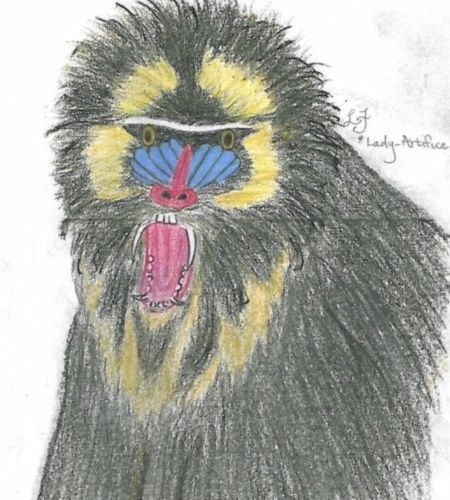 mandrill_smallish.jpg
