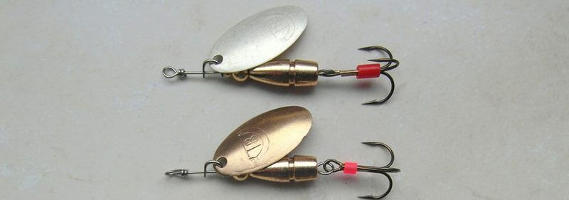 10264804_469534843178333_115532528981259