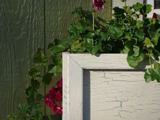 Closeup of the window box