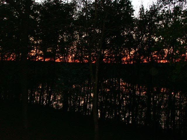 SunsetSpring2009.jpg