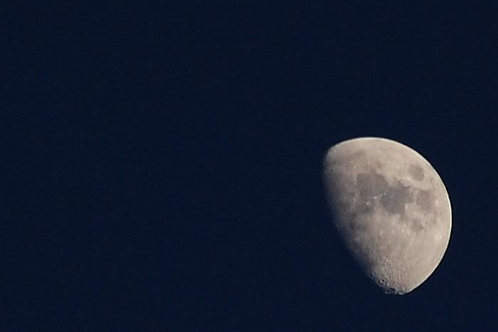 Moon