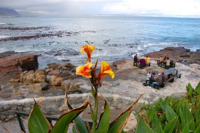 Cape Town