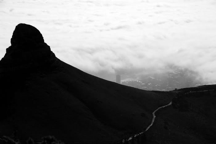 cape town lion's head