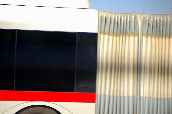 Dubai Bus