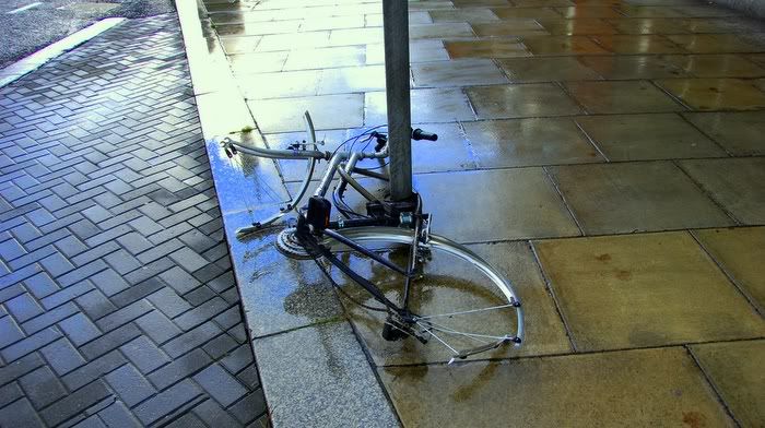 dublin bicycle rower