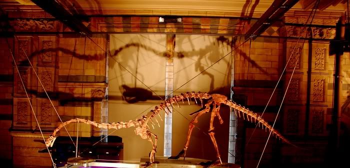 dino