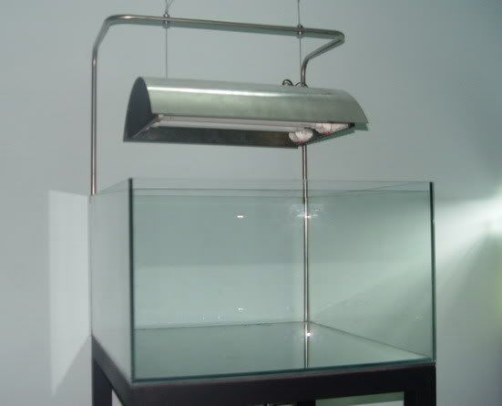 Tiệm Kiếng Mixhouse: Chuyên Hồ Cá, Hồ Thủy Sinh, Hồ Hamter, Hồ Betta