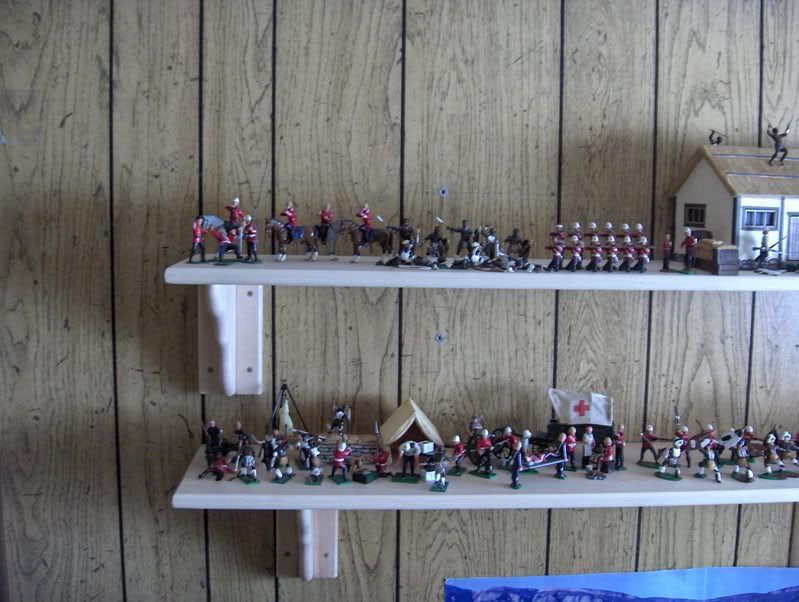 Shelves2011.jpg