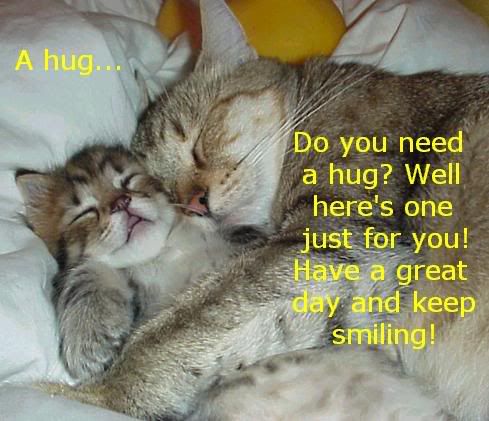 cat_hug.jpg
