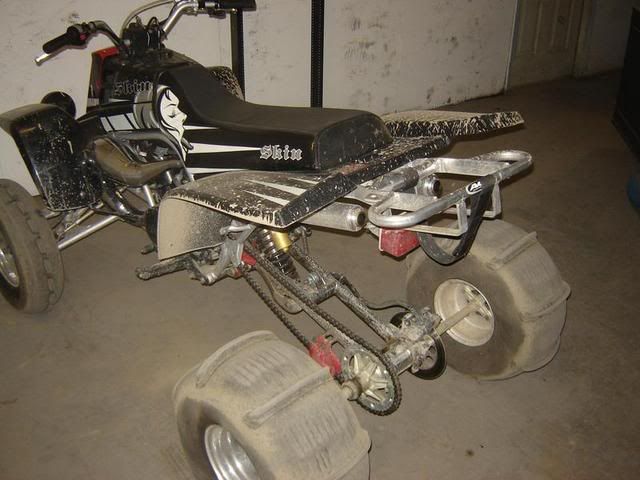 6 pack rack on banshee? - Page 2 banshee wire harness 