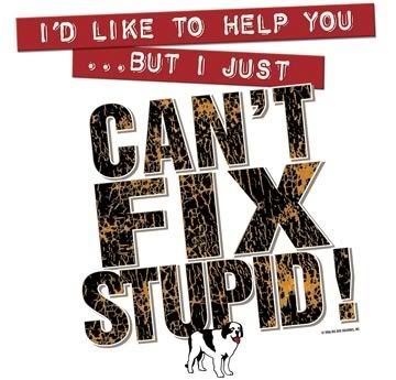 Cant Fix Stupid