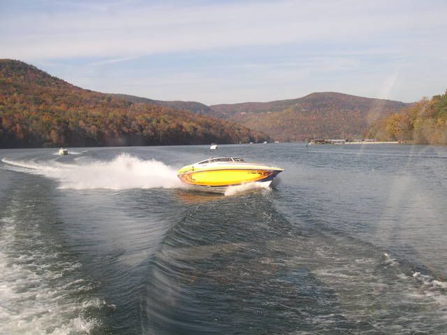 P1010026.jpg
