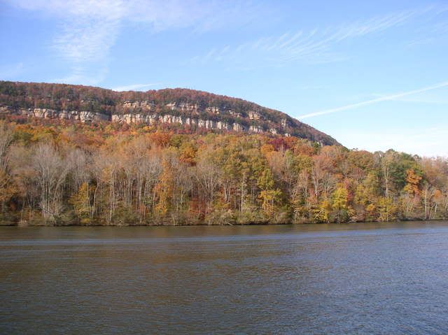 P1010049.jpg
