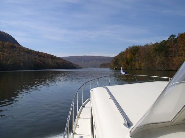 P1010062.jpg