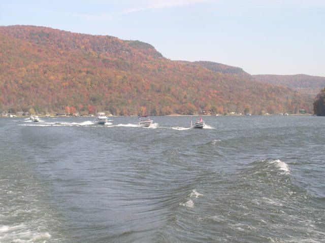 P1010093.jpg