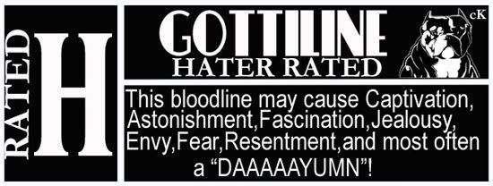 Hater Banner