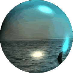 whales-1333.gif picture by patclaudowen