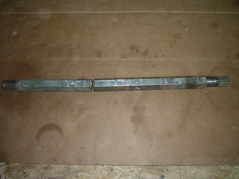 IMGP2681.jpg