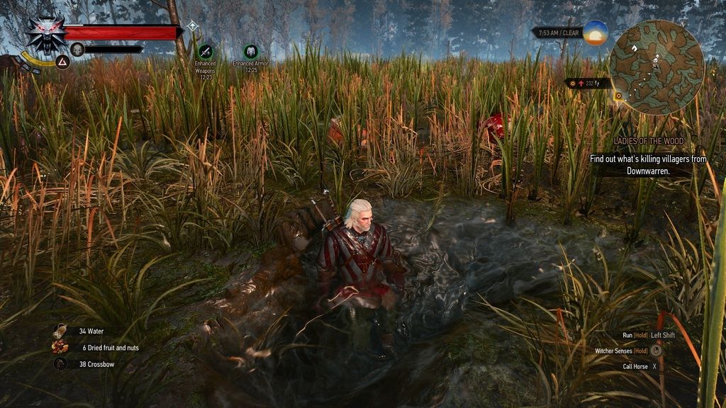 witcher3%202015-06-03%2012-39-37-46_zpsn