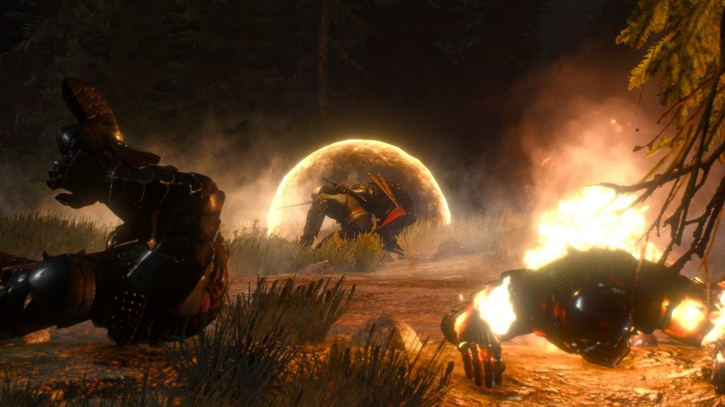 witcher3%202015-07-17%2016-49-00-13_zpsh