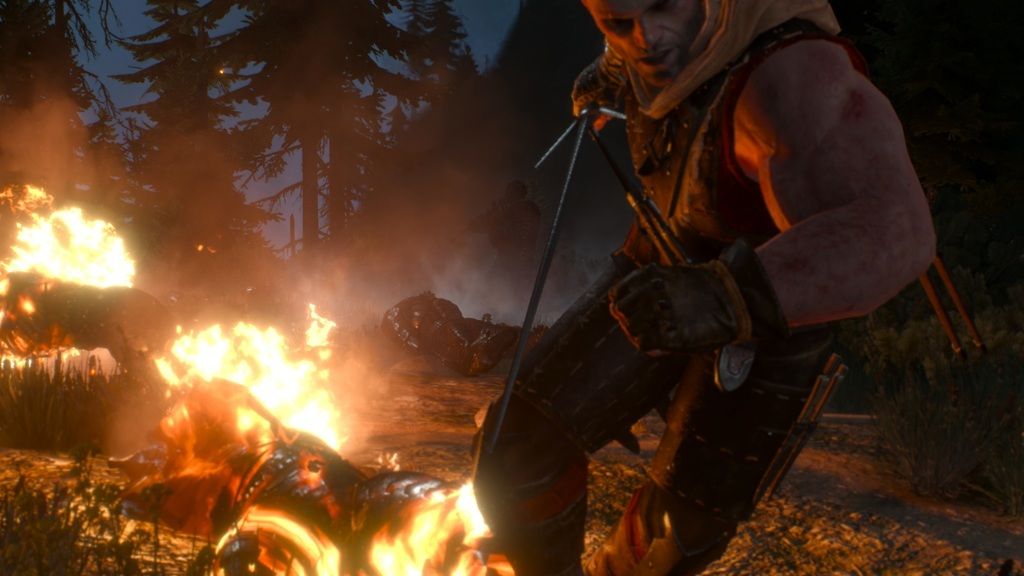 witcher3%202015-07-17%2016-49-06-63_zpst