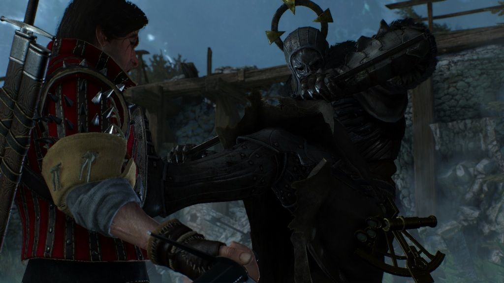 witcher3%202015-07-17%2016-56-44-31_zpsn