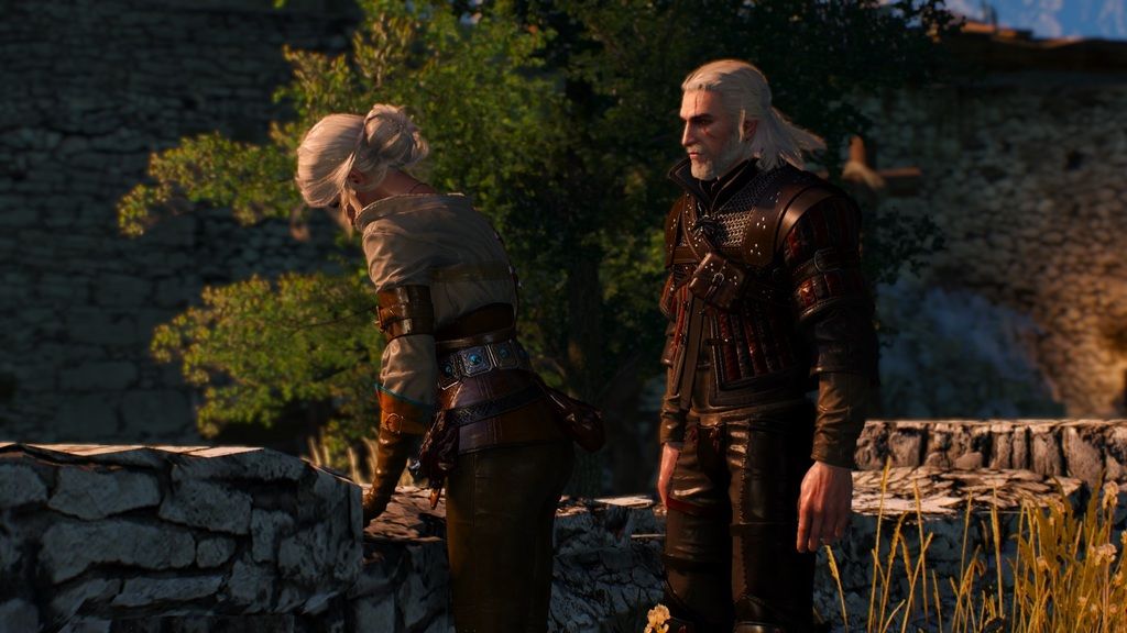 witcher3%202015-07-17%2017-33-30-77_zpsa