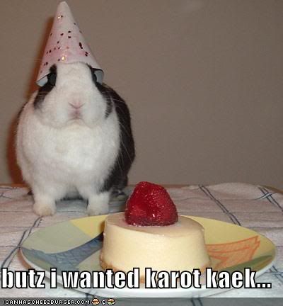 funny-pictures-your-rabbit-wanted-c.jpg