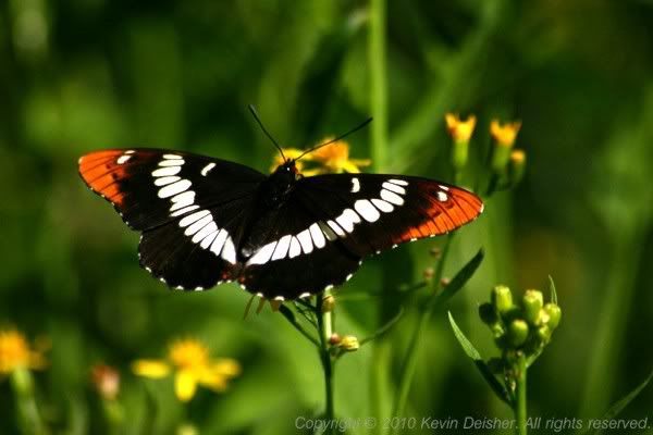 Share YOUR photography