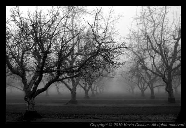Share YOUR photography