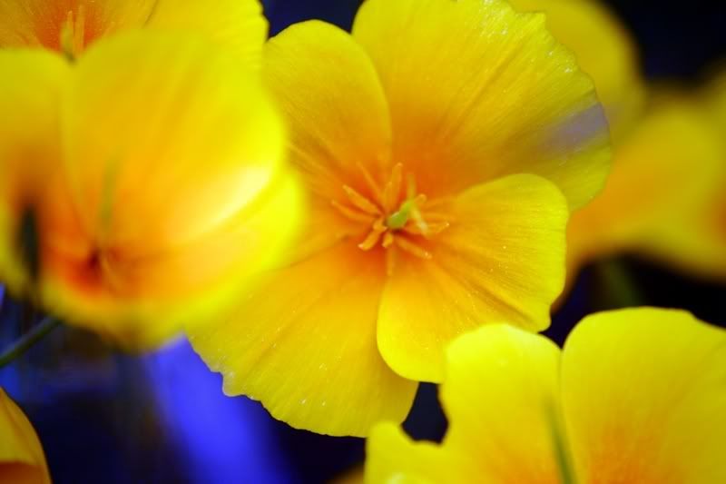Share YOUR photography