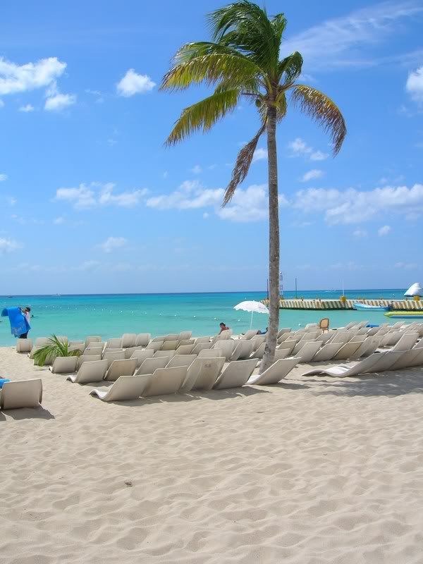 Do�a ve Manzara Resimleri (4. Katalog)