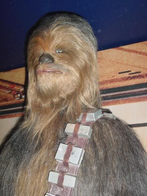 Chewie_04.jpg