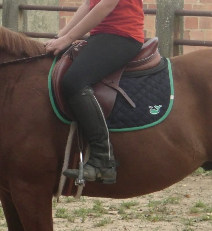 Saddle panels rubbing hair off! Page 2 The Horse Forum